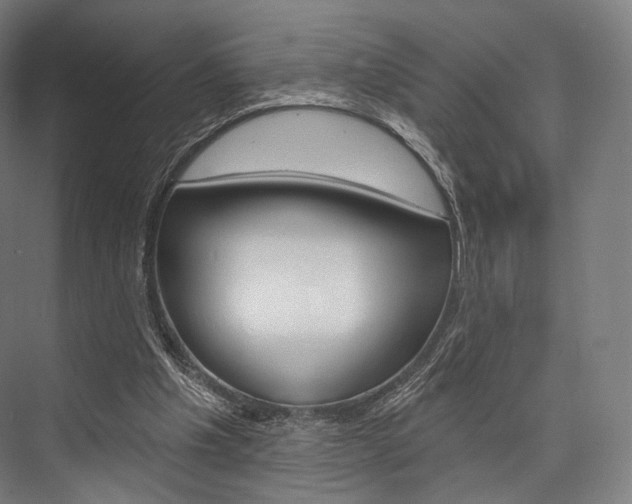 X0000076440201200610061034