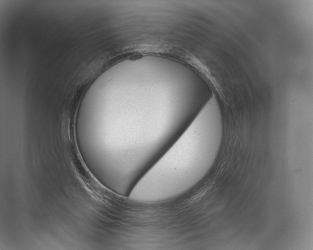 X0000076440205200610061034
