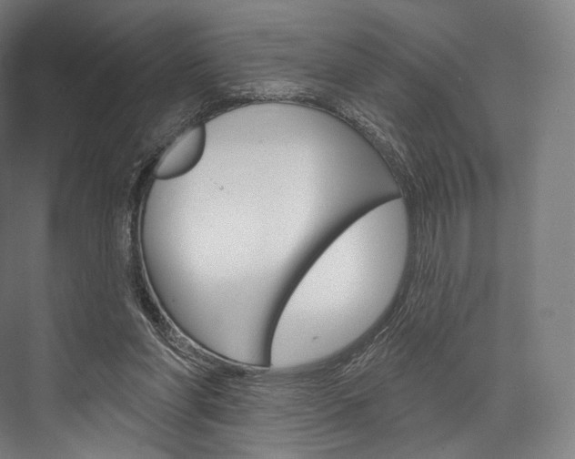 X0000076440206200610061034