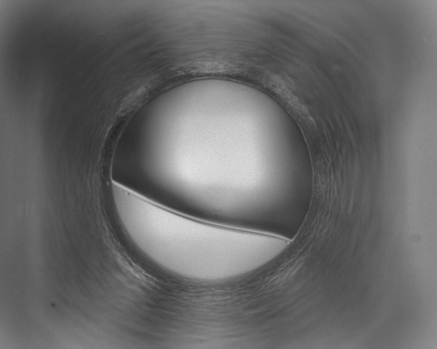 X0000076440207200610061034
