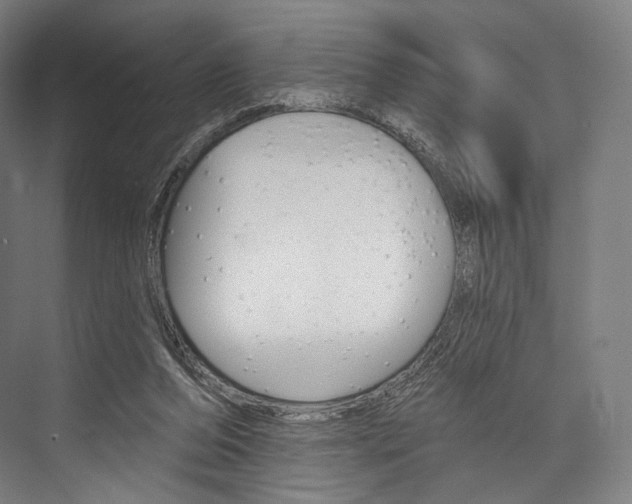 X0000076440208200610061034