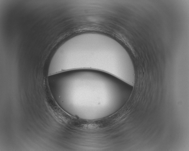 X0000076440212200610061034