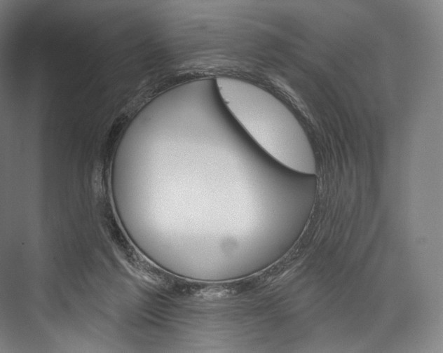 X0000076440213200610061034