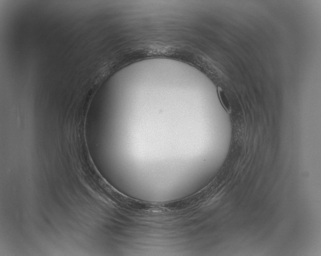 X0000076440215200610061034