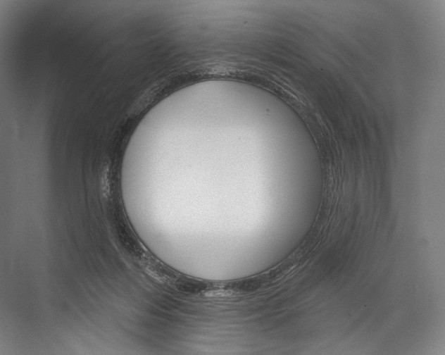 X0000076440216200610061034