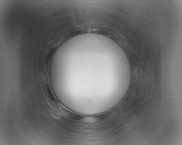 X0000076440218200610061033