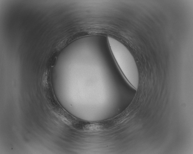 X0000076440219200610061033