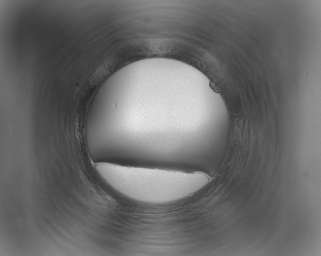 X0000076440220200610061033