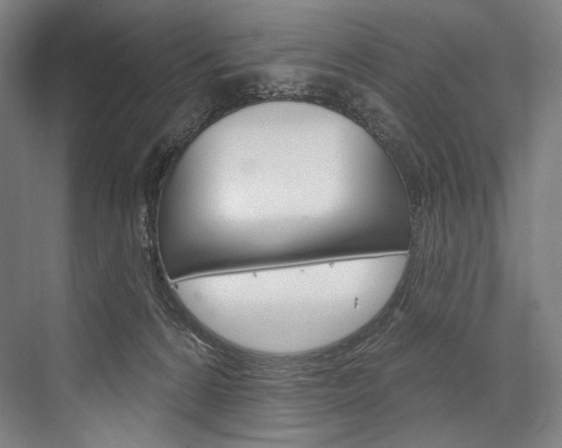 X0000076440224200610061033