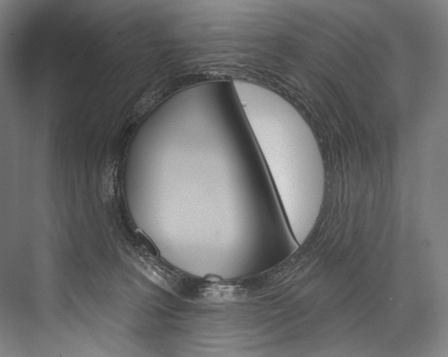 X0000076440227200610061033