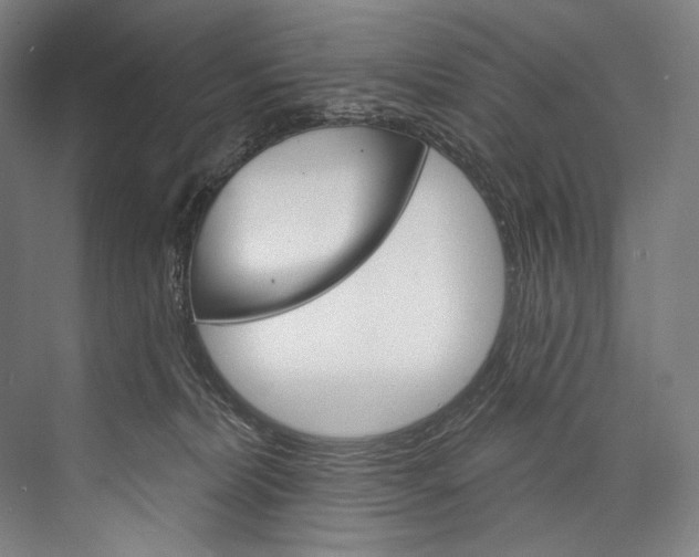 X0000076440228200610061033