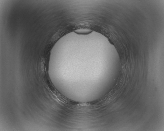 X0000076440231200610061033