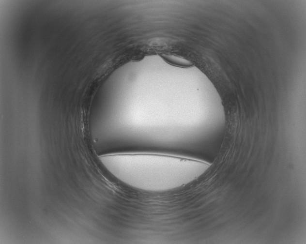 X0000076440232200610061033