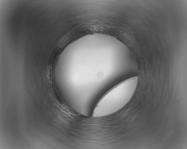 X0000076440233200610061033