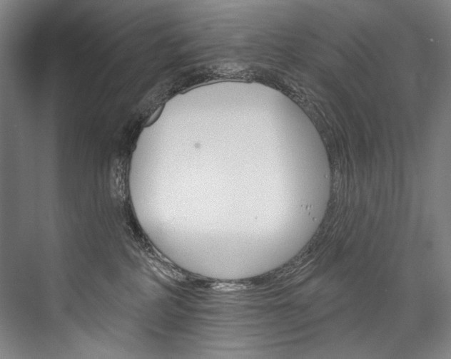 X0000076440234200610061033