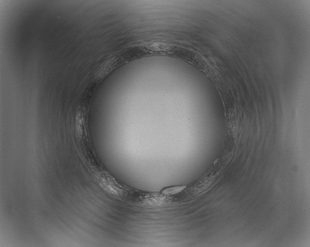 X0000076440235200610061033