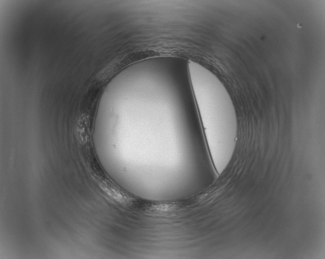 X0000076440237200610061033