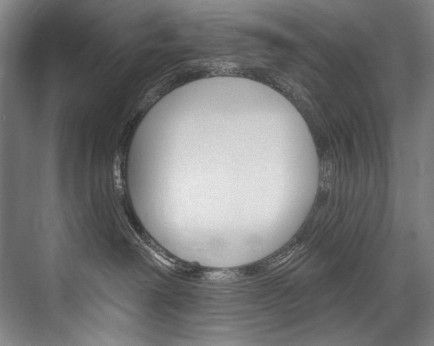X0000076440238200610061033