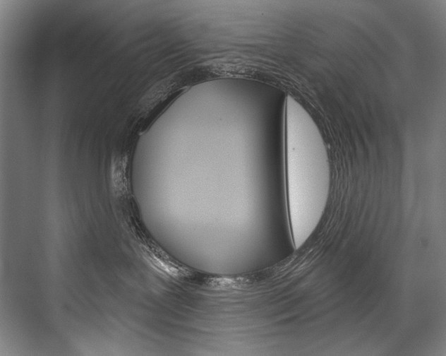 X0000076440239200610061033