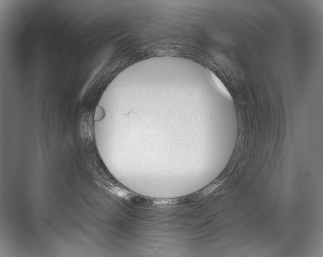 X0000076440240200610061033