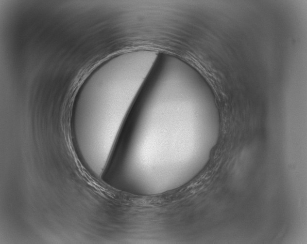 X0000076440241200610061032
