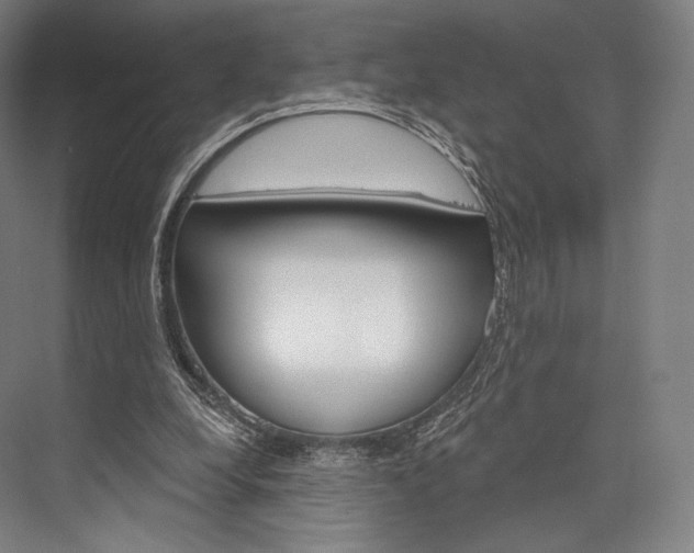 X0000076440248200610061032