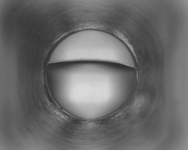 X0000076440249200610061032