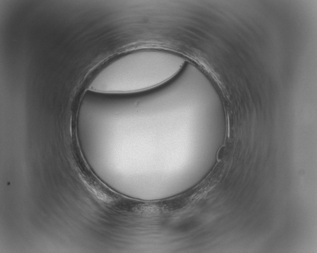 X0000076440253200610061033