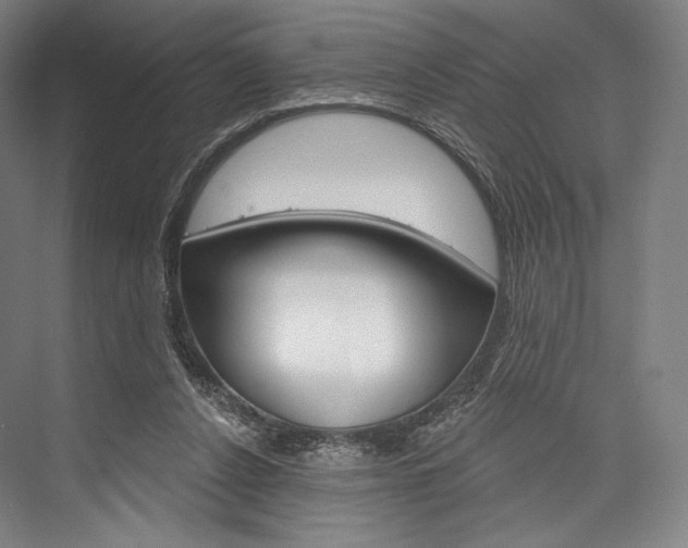 X0000076440256200610061033