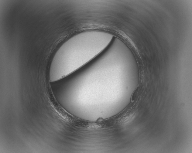 X0000076440257200610061033