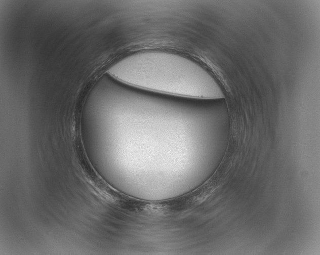 X0000076440261200610061033