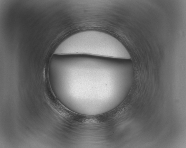 X0000076440262200610061033