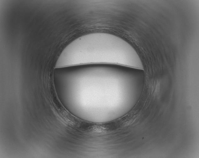 X0000076440263200610061033