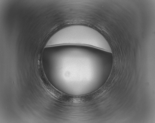 X0000076440264200610061033