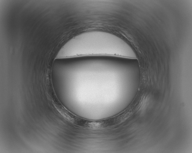 X0000076440265200610061033