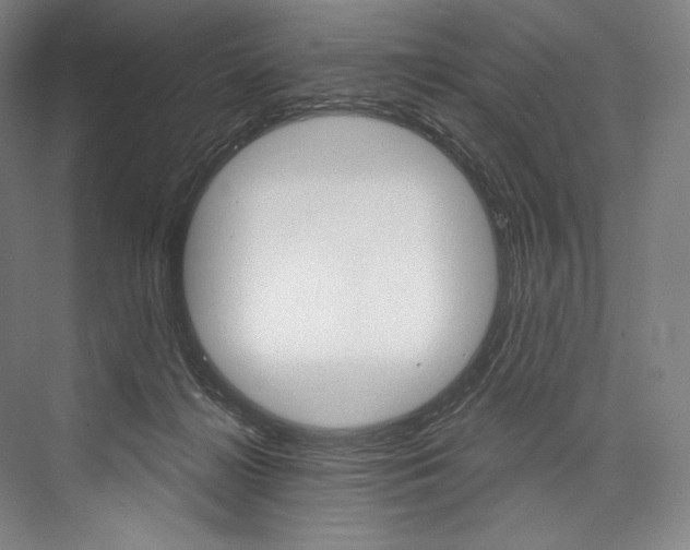 X0000076440268200610061033