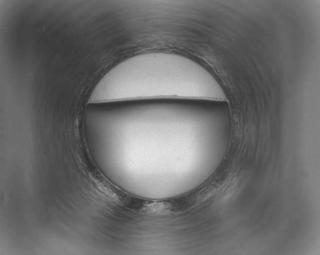 X0000076440269200610061033