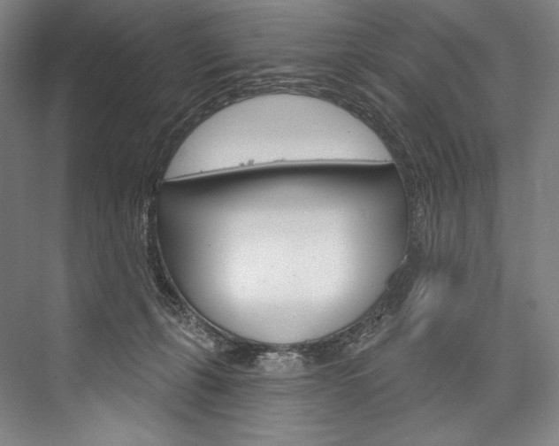 X0000076440271200610061033