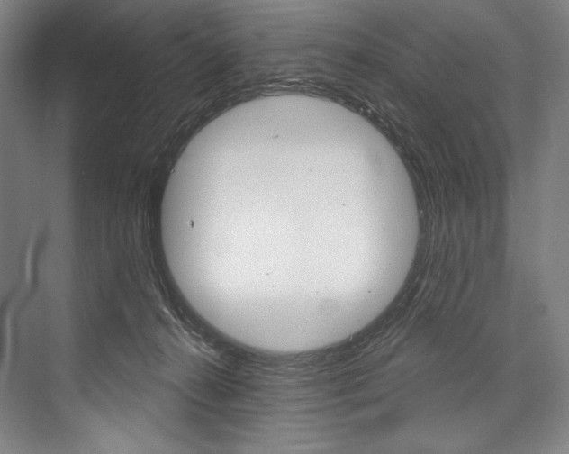 X0000076440272200610061033