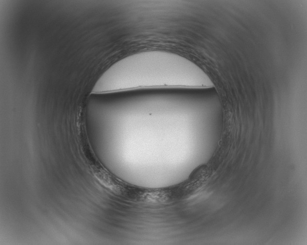X0000076440275200610061033