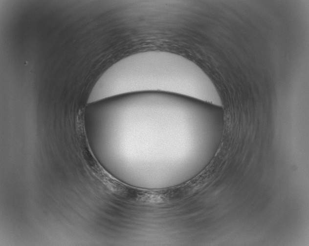 X0000076440276200610061033