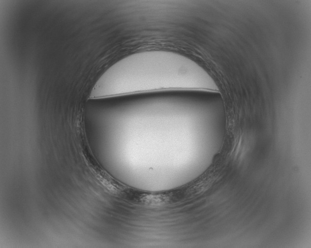 X0000076440277200610061033