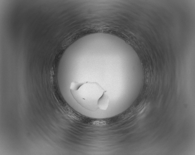 X0000076440279200610061033