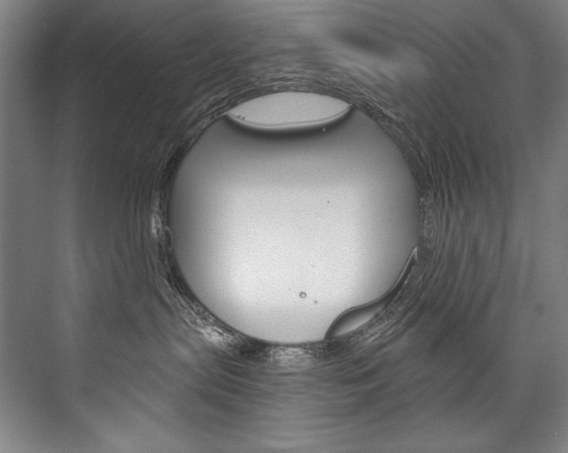 X0000076440287200610061033