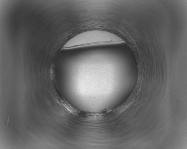 X0000076440288200610061033