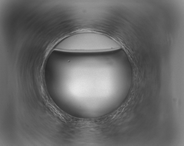 X0000076440289200610061032