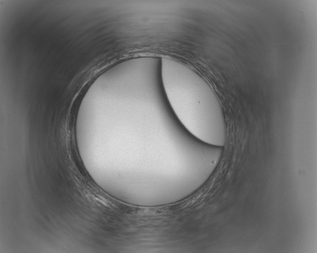 X0000076440290200610061032