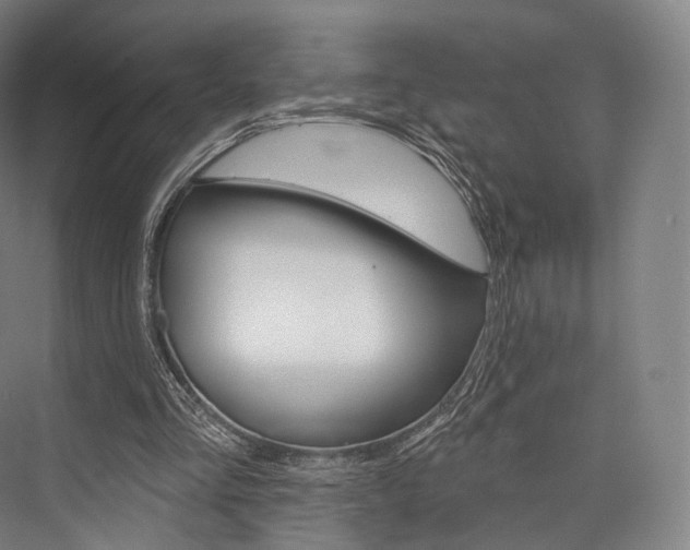 X0000076440293200610061032