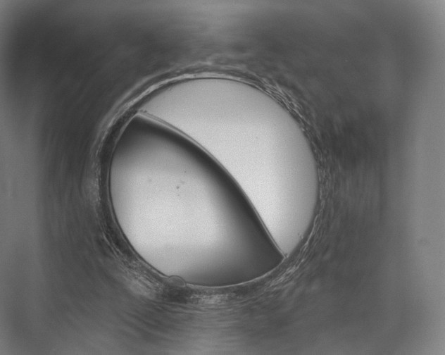 X0000076440295200610061032