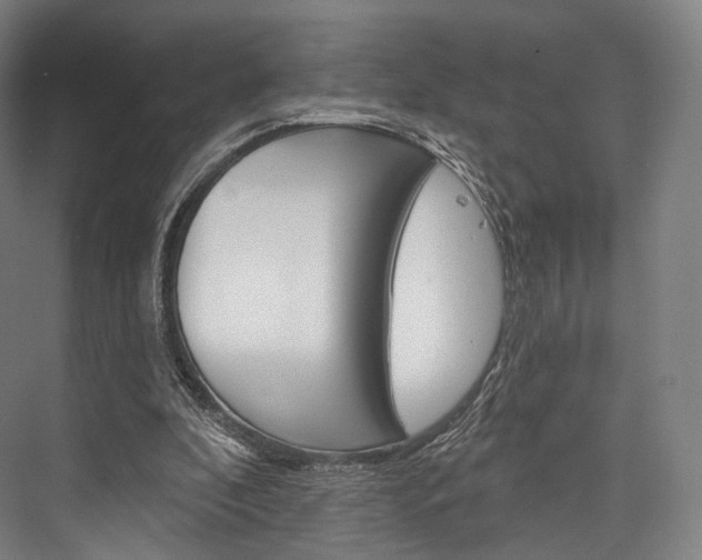 X0000076440296200610061032